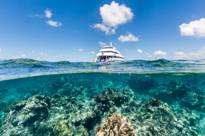 Great Barrier Reef Snorkeling and Diving Cruise from Cairns - Key points at a glance