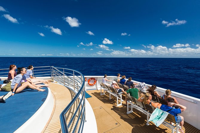 Great Barrier Reef Snorkeling and Diving Cruise from Cairns - Lunch between the two reef sessions
