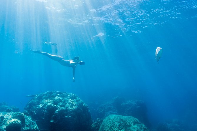 Great Barrier Reef Snorkeling and Diving Cruise from Cairns - Optional helicopter and semi-submersible views