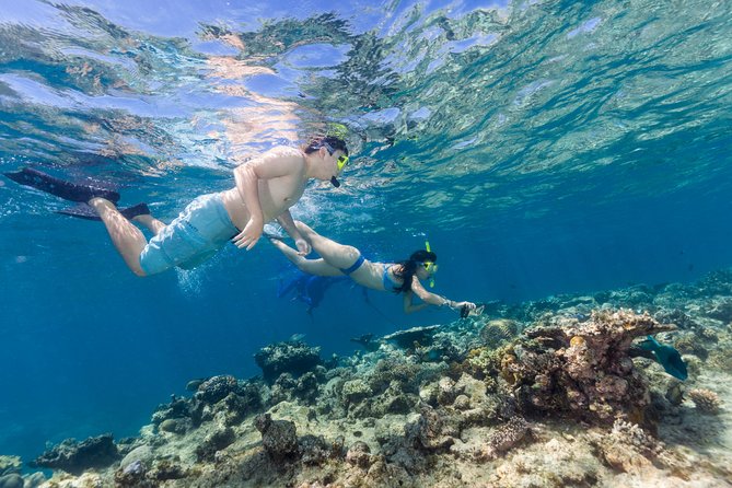 Great Barrier Reef Snorkeling and Diving Cruise from Cairns - How much value do you get for $190.07?