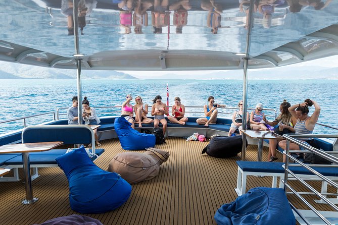 Great Barrier Reef Snorkeling and Diving Cruise from Cairns - The long run to Saxon or Norman Reef
