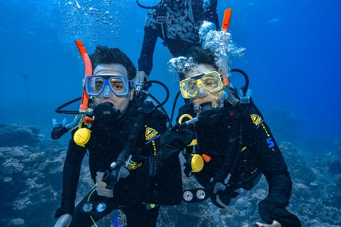 Great Barrier Reef with Cultural Guides-Dreamtime Dive & Snorkel - Food, facilities, and the rhythm of the day