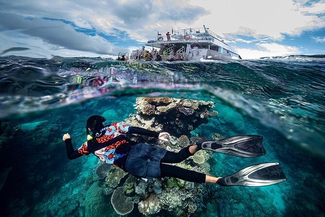 Great Barrier Reef with Cultural Guides-Dreamtime Dive & Snorkel - Leaving Cairns for Moore Reef at 8:30 a.m.