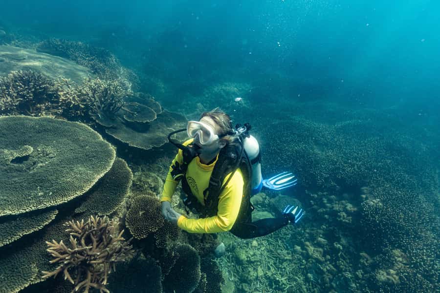 Great Keppel Island: PADI Discover SCUBA Diving - Exploring the Southern Great Barrier Reef