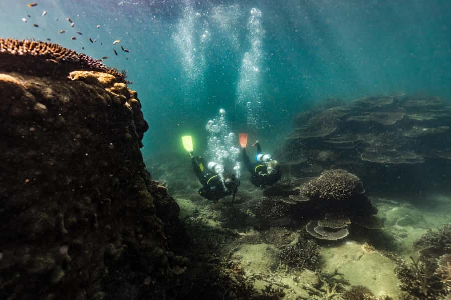 Great Keppel Island: PADI Discover SCUBA Diving - Who will enjoy this introduction most?