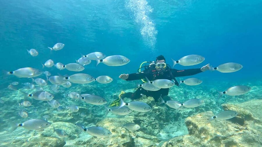 Green Bay Cyprus - Scuba diving - Guided Dive or Try Dive - What this Green Bay scuba experience really offers