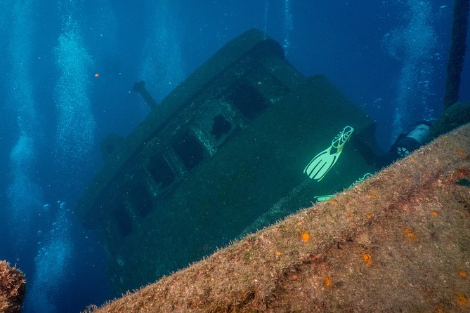 Guided Boat Dives for Certified Divers - Starting at 8:30 am in Playa de las Americas