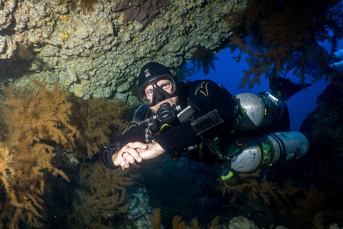 Guided Boat Dives for Certified Divers - Choosing between one and ten sessions