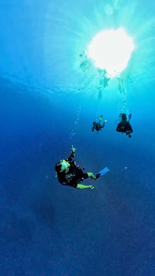 Guided exploration for certified divers (N1, PE20, Open Water min.) - What the St Leu outing is really like