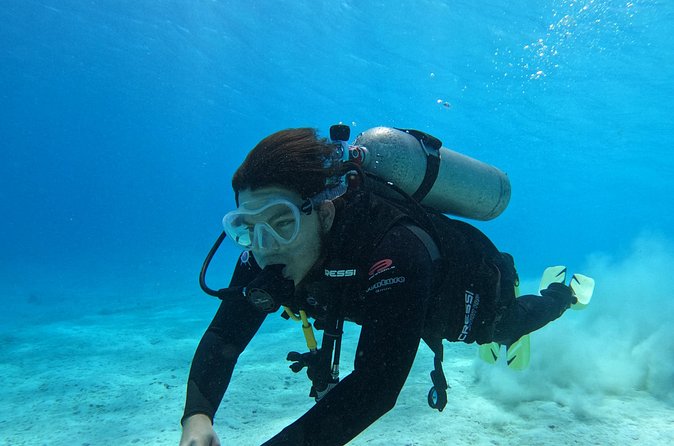Guided Padi Discover Scuba Diving for Non-Certified Divers - Why a Six-Person Maximum Matters