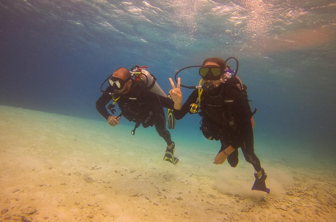 Guided Padi Discover Scuba Diving for Non-Certified Divers - Instructors Who Put Comfort First