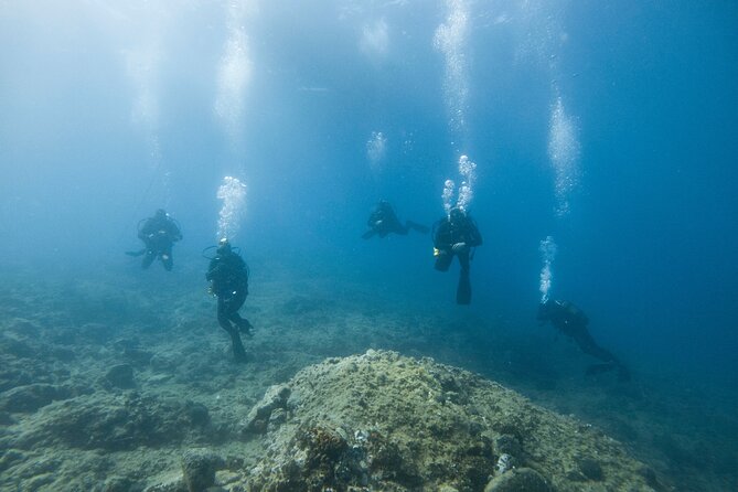 Guided SCUBA Diving for Certified Divers in Athens - The shore-entry tradeoff