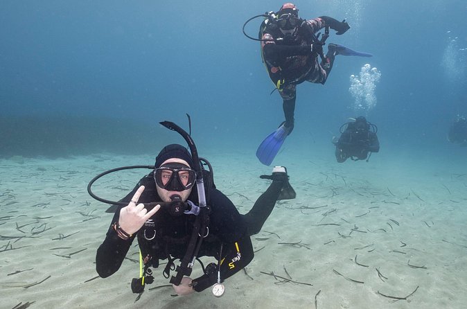 Guided SCUBA Diving for Certified Divers in Athens - What the underwater time offers