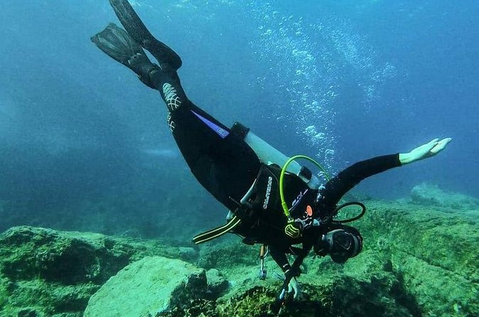 Guided SCUBA Diving for Certified Divers in Athens - Is $108.14 a fair price?