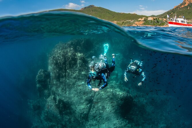 guided Scuba Diving on Tenerife (for certified divers) - Why this Tenerife scuba trip is different