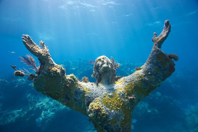 Guided Shallow 2 Tank Dive Trip for CERTIFIED SCUBA DIVERS ONLY! - A calm start at 51 Garden Cove Drive