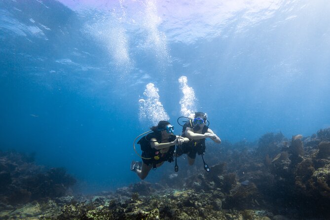 Guided Shallow 2 Tank Dive Trip for CERTIFIED SCUBA DIVERS ONLY! - What the underwater time feels like