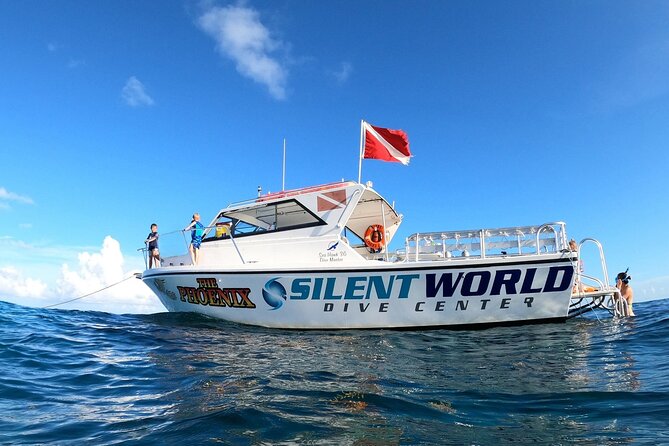 Guided Shallow 2 Tank Dive Trip for CERTIFIED SCUBA DIVERS ONLY! - First stop: Christ of the Abyss