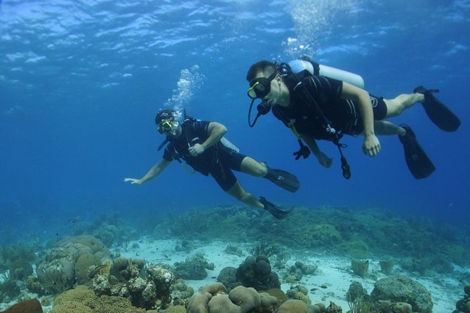 Guided Shore Dive for Certified Divers with Scubaçao (1 tank) - A flexible three-hour route around Curaçao
