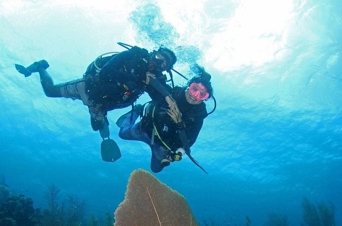 Guided Shore Dive for Certified Divers with Scubaçao (1 tank) - The one-tank format and what it means