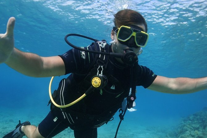 Guided Shore Dive for Certified Divers with Scubaçao (1 tank) - Who will get the most from this outing
