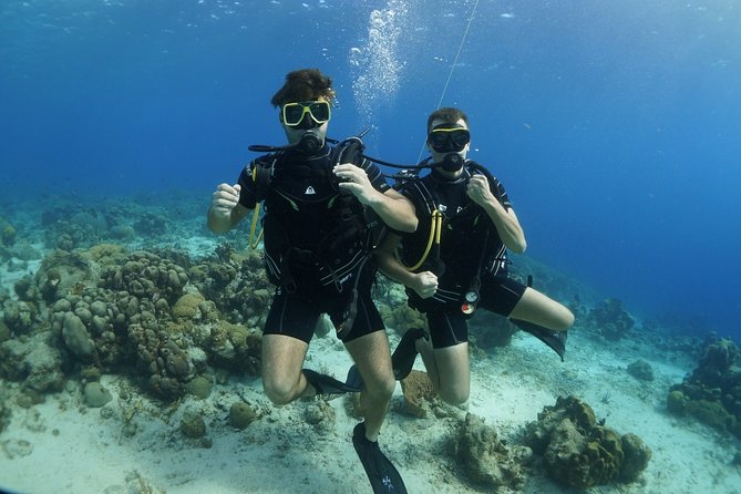 Guided Shore Dive for Certified Divers with Scubaçao (2 tank) - Equipment, preparation, and practical comfort