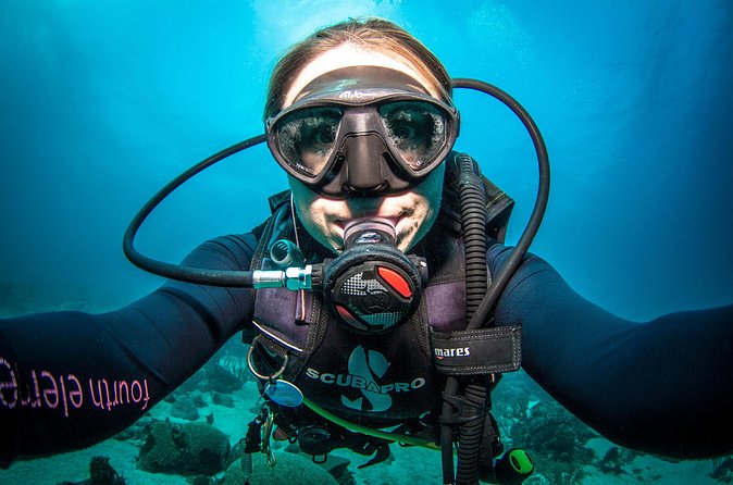 Guided Shore Dive for Certified Divers with Scubaçao (2 tank) - Comparing the $155 price with other Curaçao options