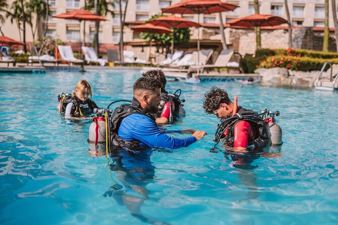 Half-Day Aruba Intro Diving Course for Beginners - Key points to know before booking