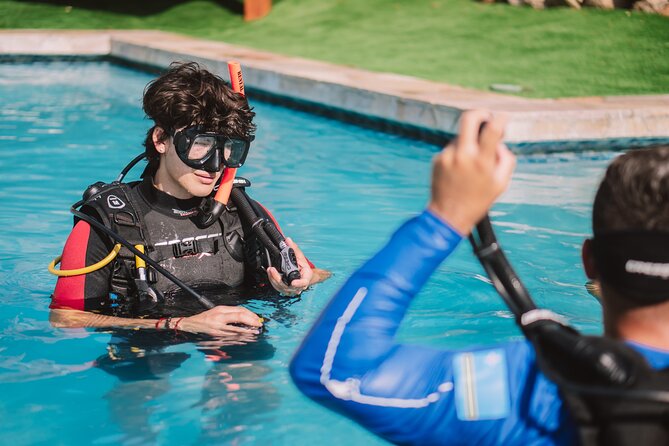 Half-Day Aruba Intro Diving Course for Beginners - What you might see below the surface