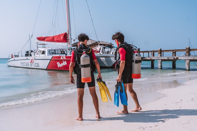 Half-Day Aruba Intro Diving Course for Beginners - The real value of the $104 price