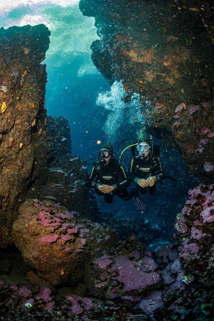 Half Day Dive Trip for Certified Divers - Should you book this Chania scuba trip?