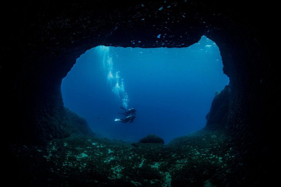 Half Day Dive Trip for Certified Divers - Who will enjoy this trip most