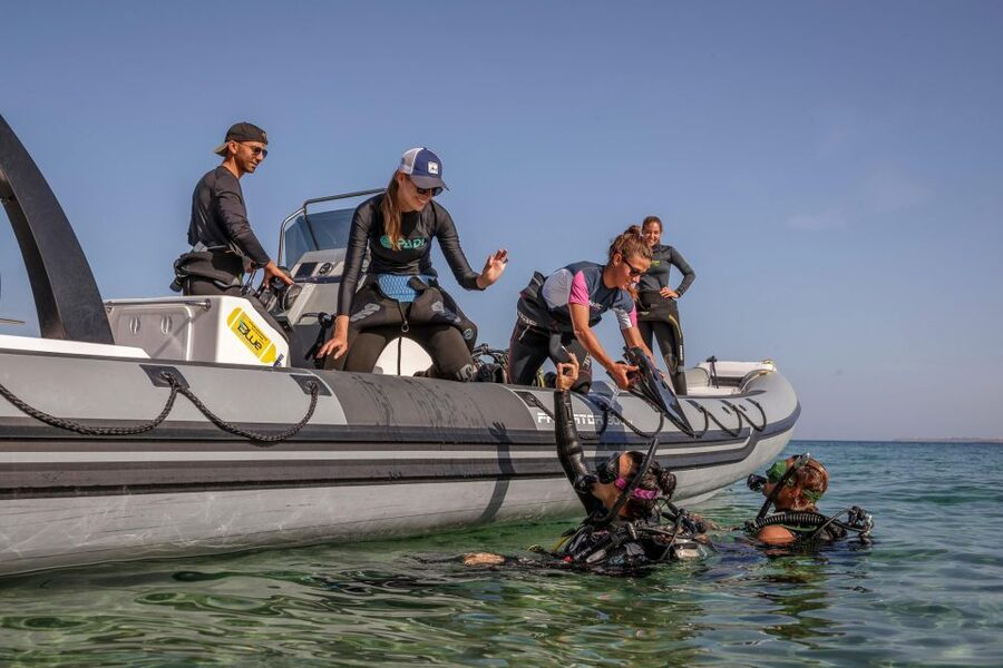 Half Day Dive Trip for Certified Divers - Timing, transfers, and cancellation details