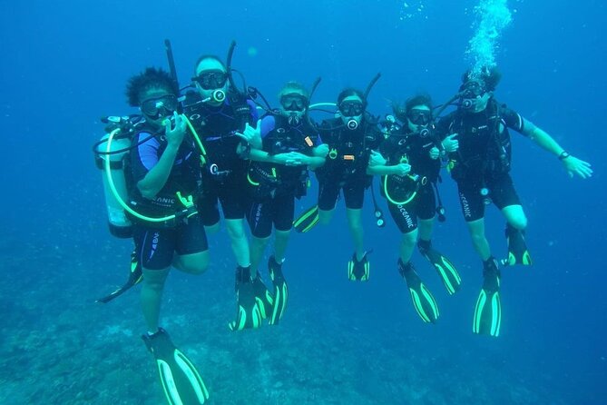 Half Day Diving adventure with Transportation Included - Two shore sessions instead of one rushed outing