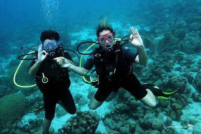 Half Day Diving adventure with Transportation Included - The pickup plan from Willemstad