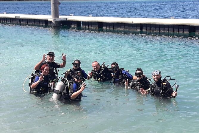 Half Day Diving adventure with Transportation Included - Equipment can change the real price