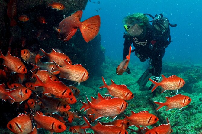 Half-Day Diving in Sal - The second session stays shallower