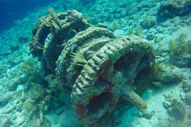 Half Day Scuba Diving Trip in the Florida Keys - Two reef sites from Key Largo