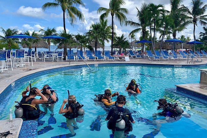 Half Day Scuba Diving Trip in the Florida Keys - Certification and the equipment question