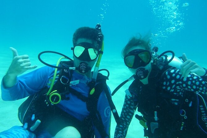 Half Day Scuba Diving Trip in the Florida Keys - What the 3.5-hour schedule feels like