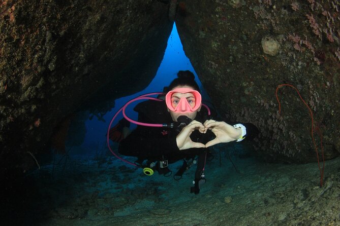 Half-Day Small-Group 2-Tank Scuba Dive in Key Largo (CERTIFIED DIVERS ONLY) - What to expect at Molasses Reef