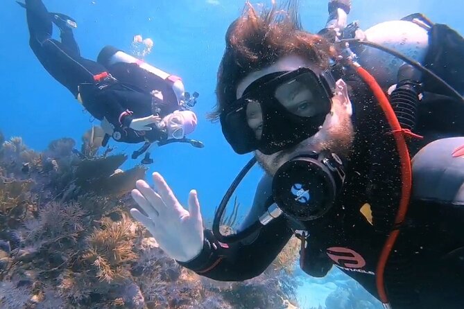 Half-Day Small-Group 2-Tank Scuba Dive in Key Largo (CERTIFIED DIVERS ONLY) - Crew service and equipment
