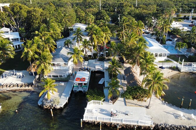 Half-Day Small-Group 2-Tank Scuba Dive in Key Largo (CERTIFIED DIVERS ONLY) - Price, timing, and overall value