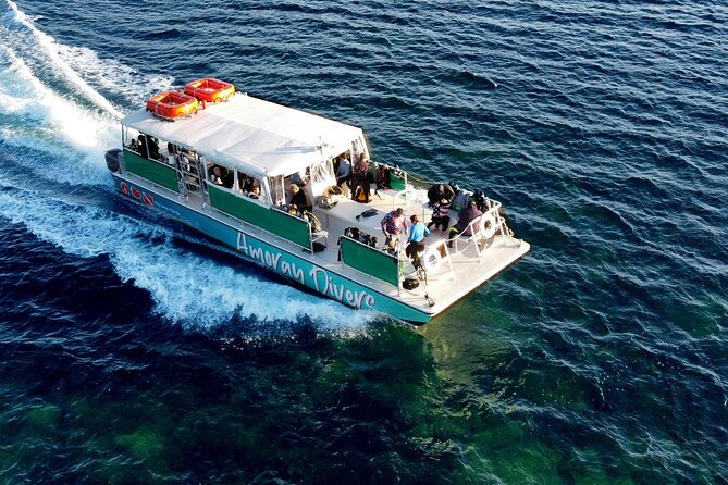 Half-Day Small-Group 2-Tank Scuba Dive in Key Largo (CERTIFIED DIVERS ONLY) - Who should choose this Key Largo outing