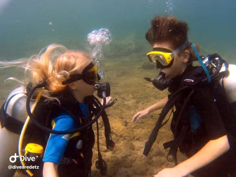 Halkidiki-Kassandra: Scuba Diving for Beginners - Should you book it?