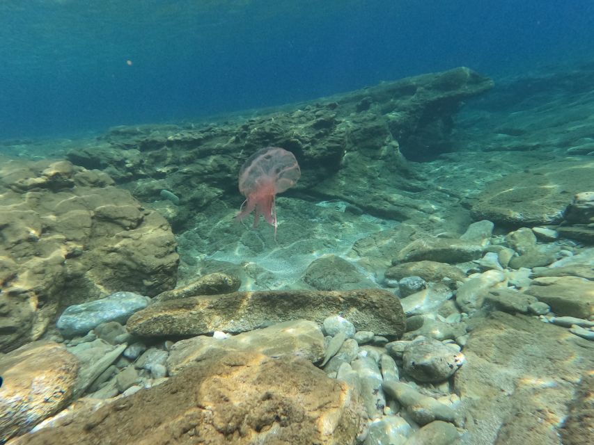 Heraklion: Beginner's intro dive w/2 Dives with transfer. - Practical timing and preparation tips