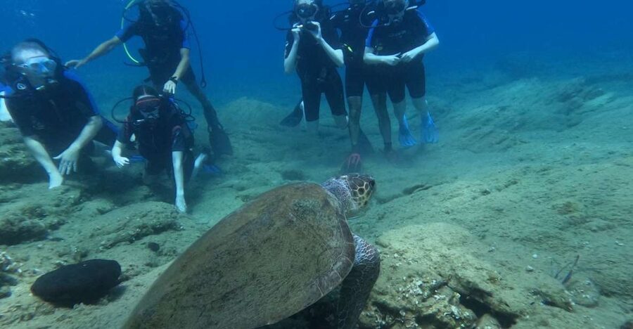 Heraklion: Beginner's intro dive w/2 Dives with transfer. - The 30-minute lesson before entering the water