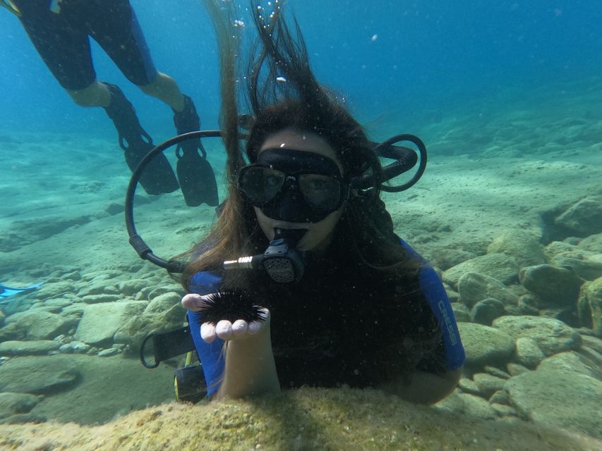 Heraklion: Beginner's intro dive w/2 Dives with transfer. - Who should book this experience?
