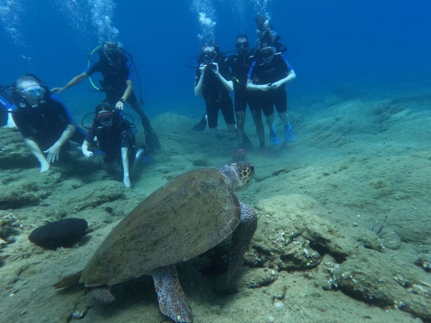 Heraklion: Beginner's intro dive w/2 Dives with transfer. - The morning transfer from your hotel