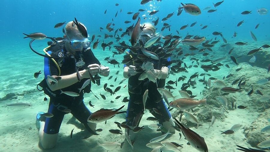 Heraklion: Beginner Scuba Diving Lesson with PADI Instructor - The 30-minute practice session with a personal instructor